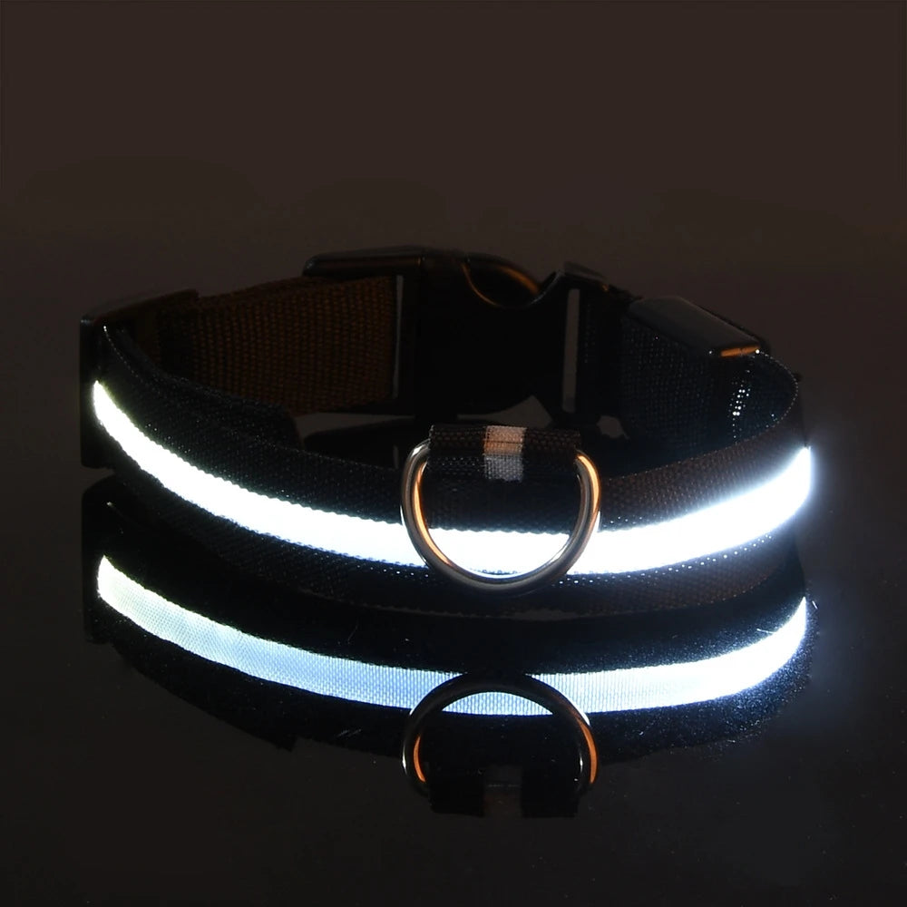 Laisse LED clignotante en nylon pour chien