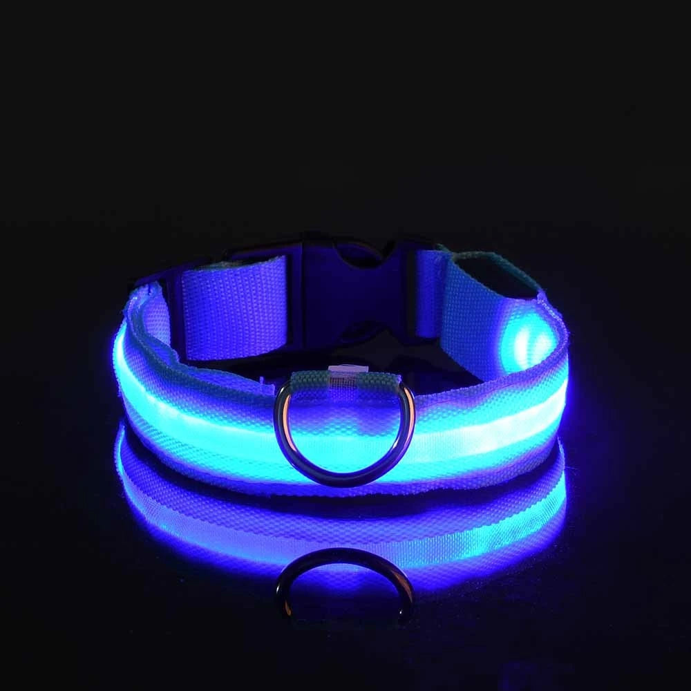 Laisse LED clignotante en nylon pour chien