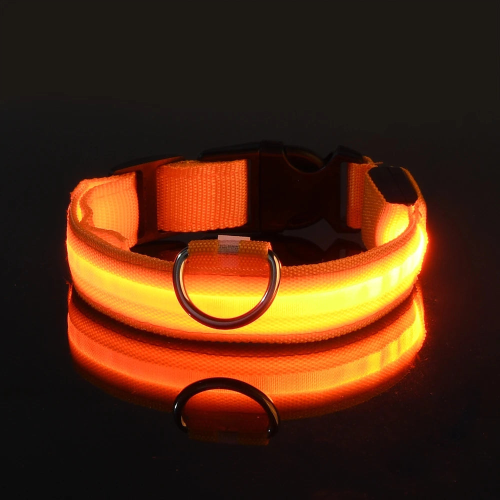 Laisse LED clignotante en nylon pour chien