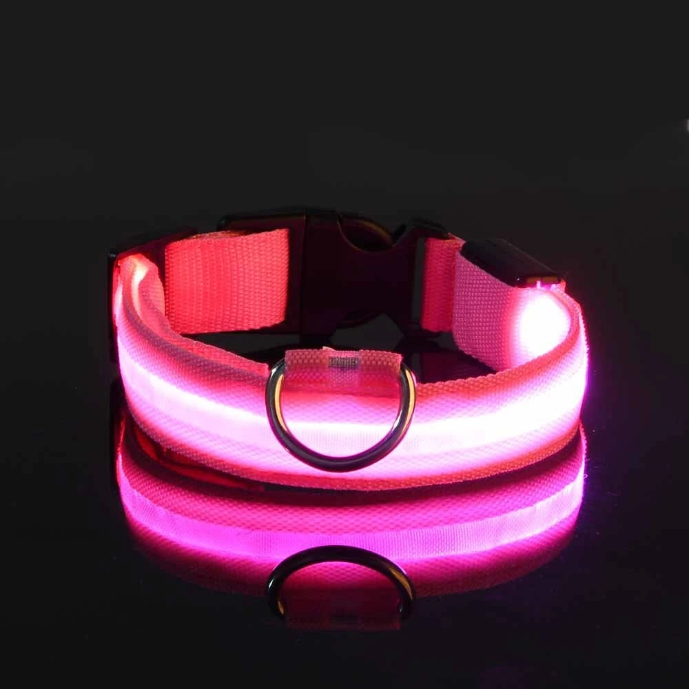 Laisse LED clignotante en nylon pour chien